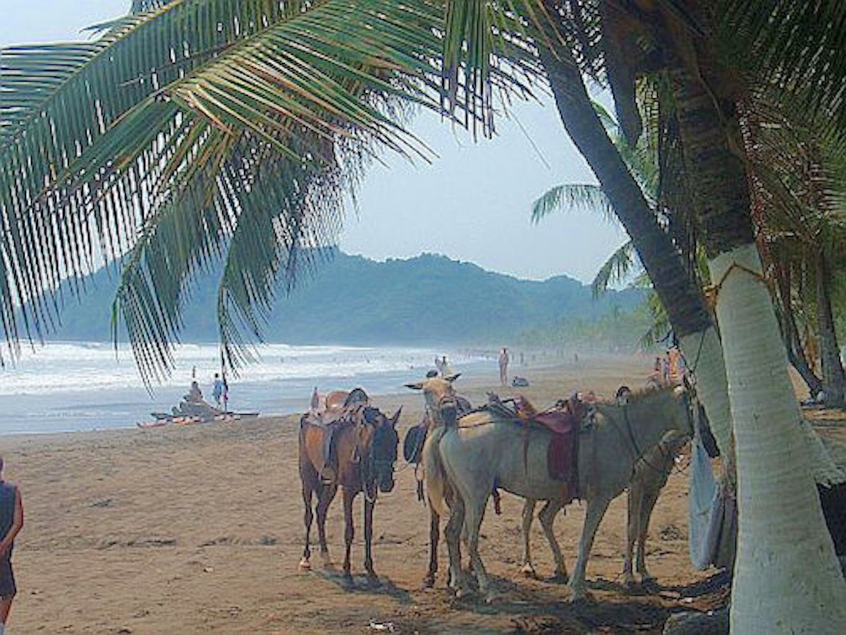 CARIBBEAN COAST4