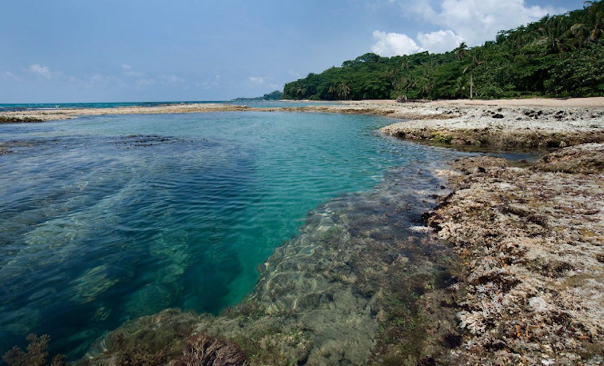 Carribean Coast 13