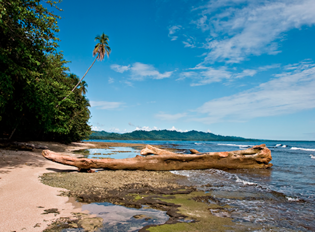 Carribean Coast 21