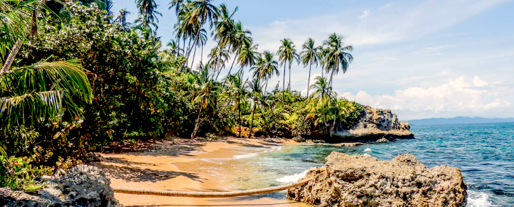 Carribean Coast 26