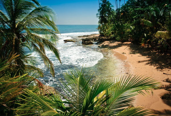 Carribean Coast 27