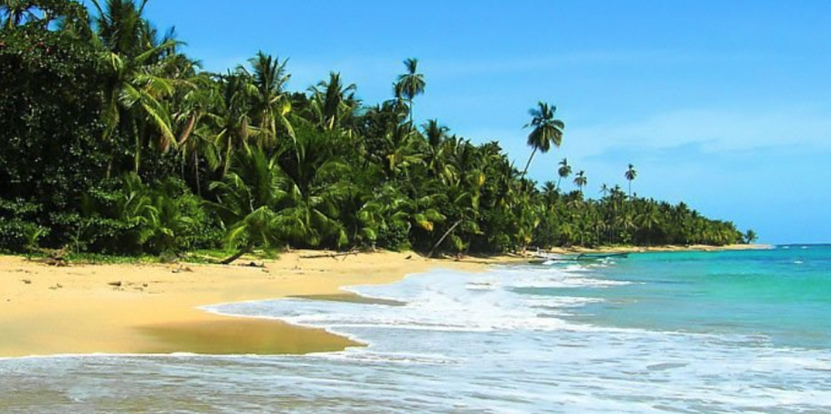 MANUEL ANTONIO1