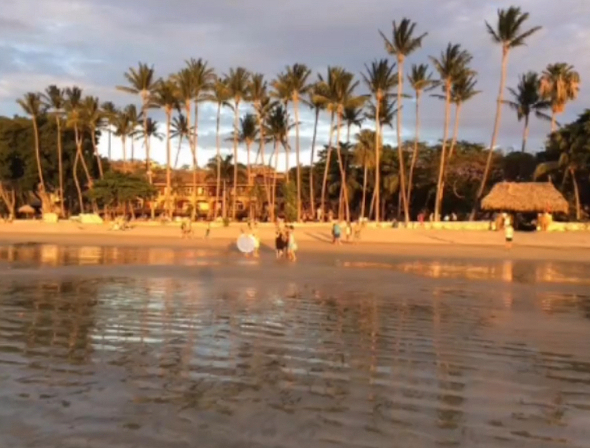 TAMARINDO2jpeg