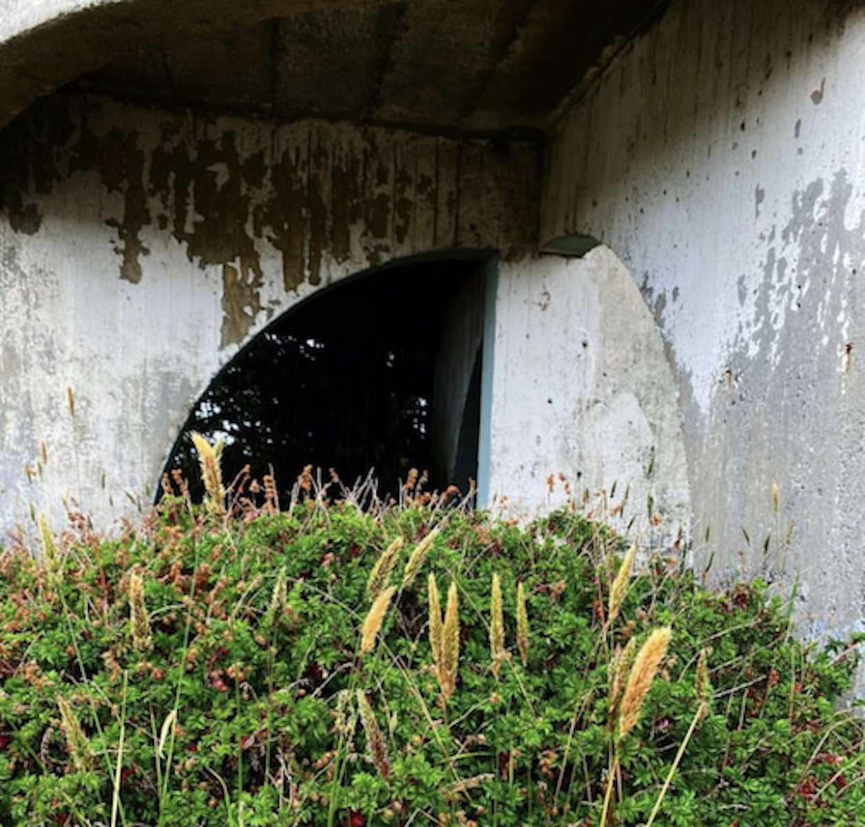 ABANDONED4