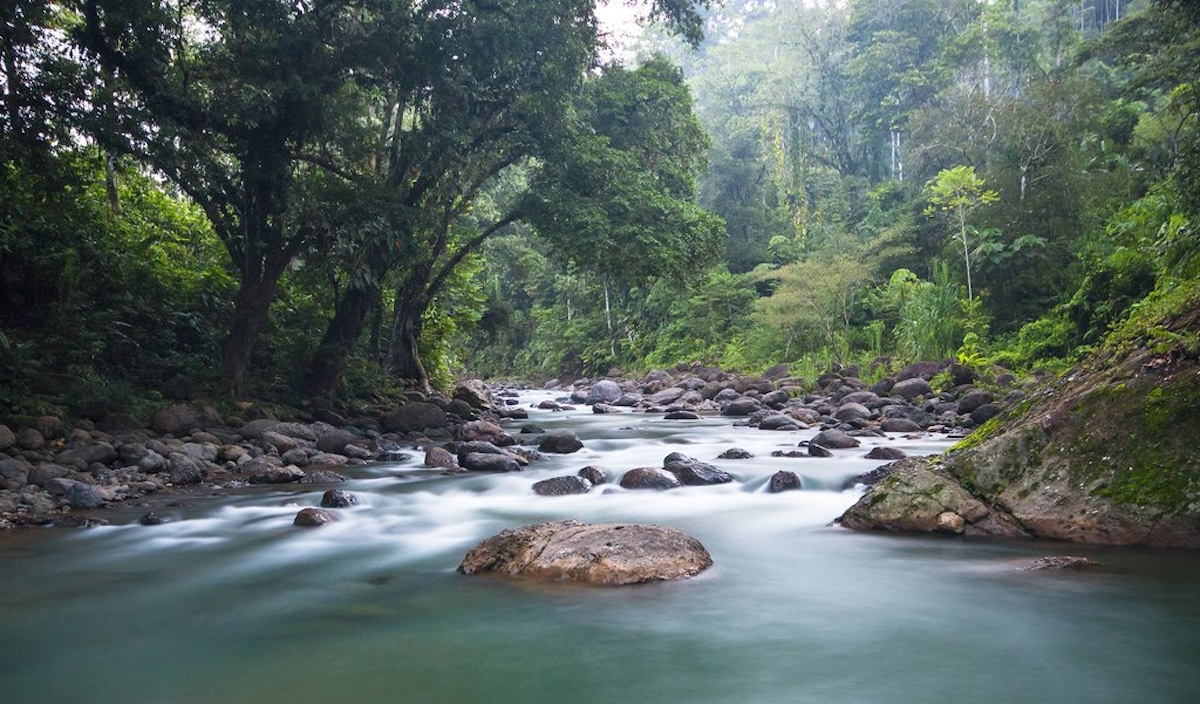 pacuare river
