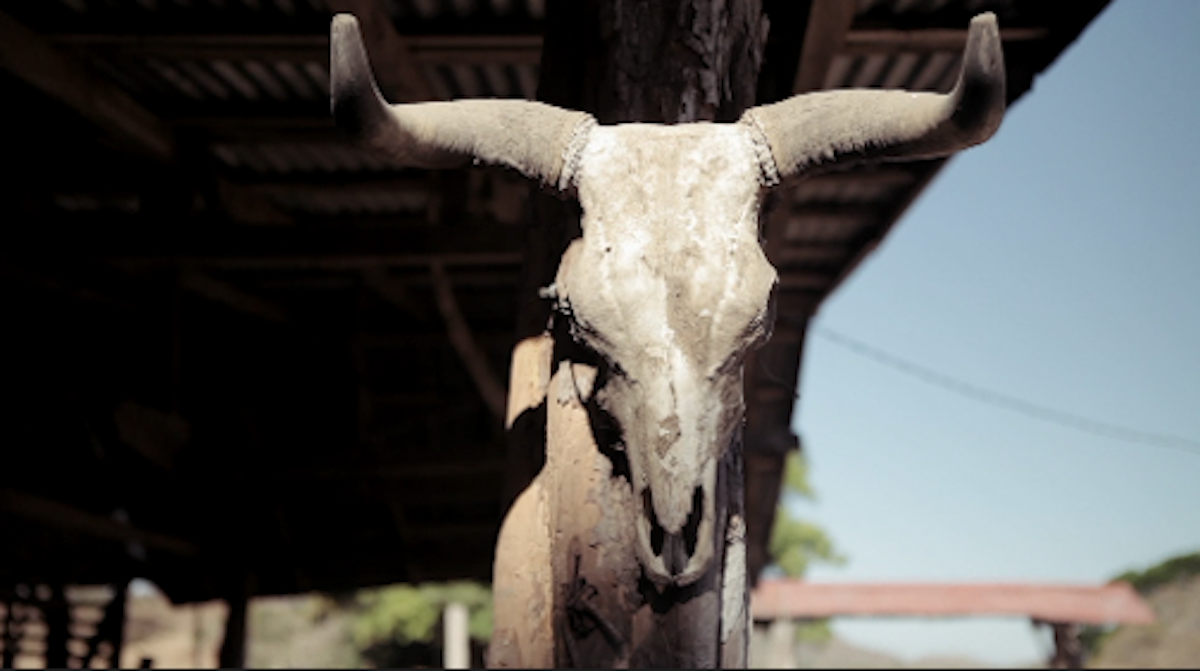 finca3