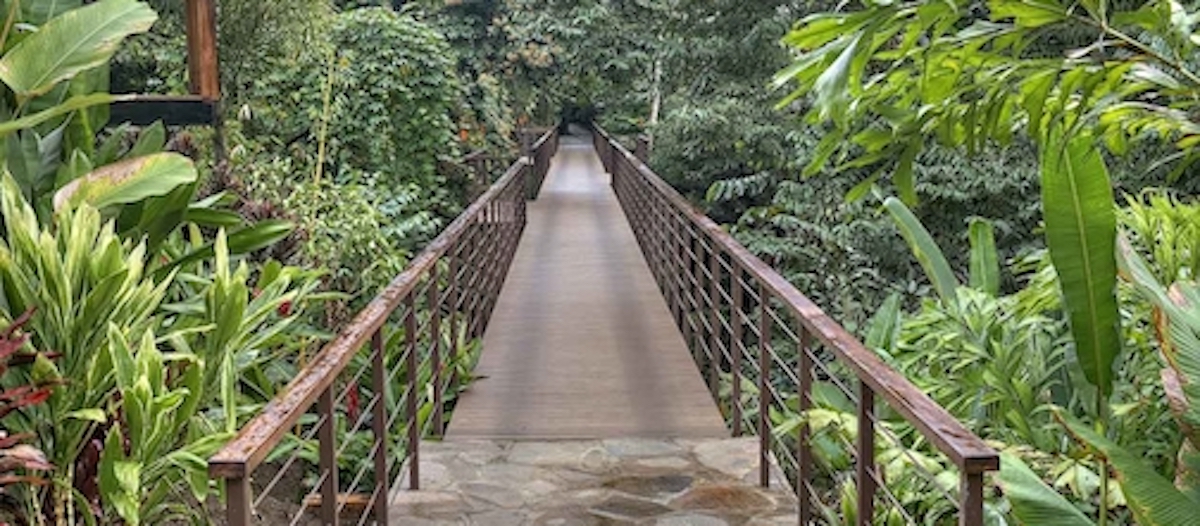 nayara springs walkway